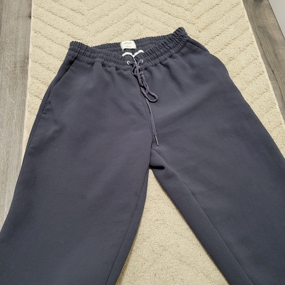 Aritzia Navy Jogger Pants - Picture 7 of 9